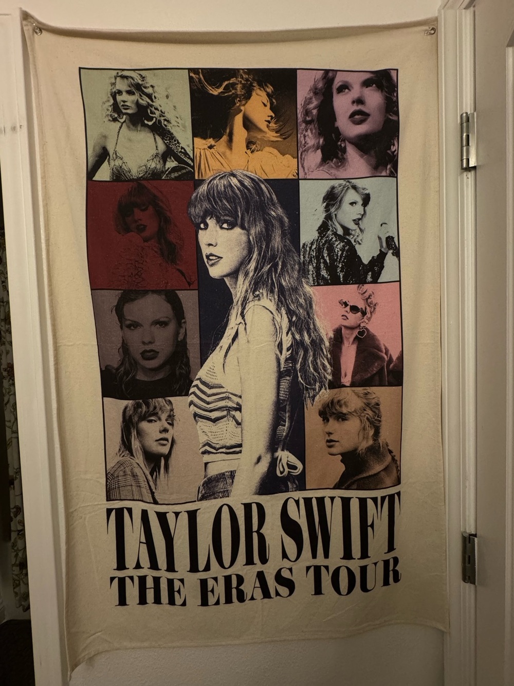 Taylor swift eras tour tapestry